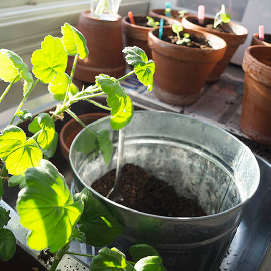 Våren är grovstädningens tid. Allt från blomkrukor till fälgar ska rengöras.