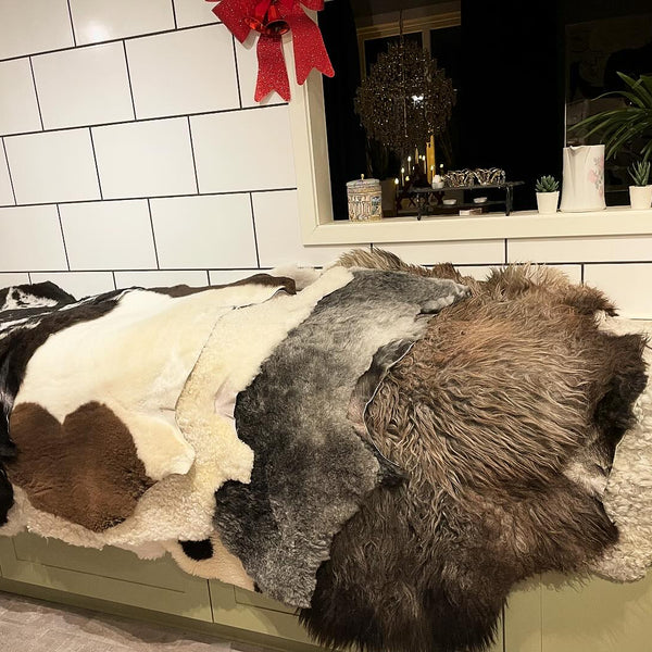 Så tvättar man en fårfäll – Steg för steg-guide