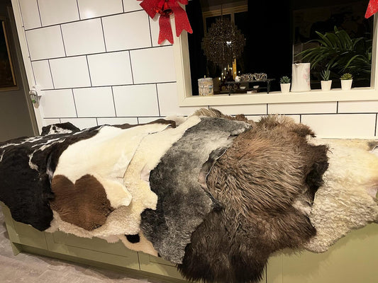 Så tvättar man en fårfäll – Steg för steg-guide