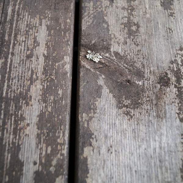 Fem frågor och svar om att såpa trallen