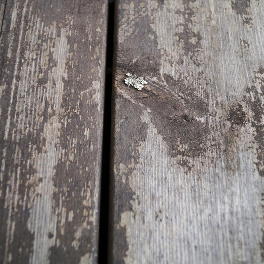 Fem frågor och svar om att såpa trallen