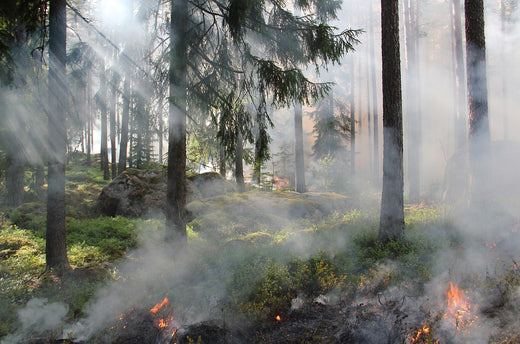 Såpa: Naturens egen tvål som kan spontanuppstå