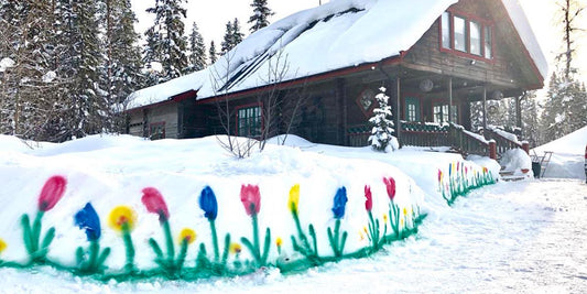 Vårstädning: Att Återuppliva Hemmet och Sinnet