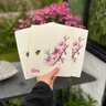 3-pack Rosa månaden trasa till stöd för Bröstcancerfonden, designad av Sara tillsammans med en av våra kunder