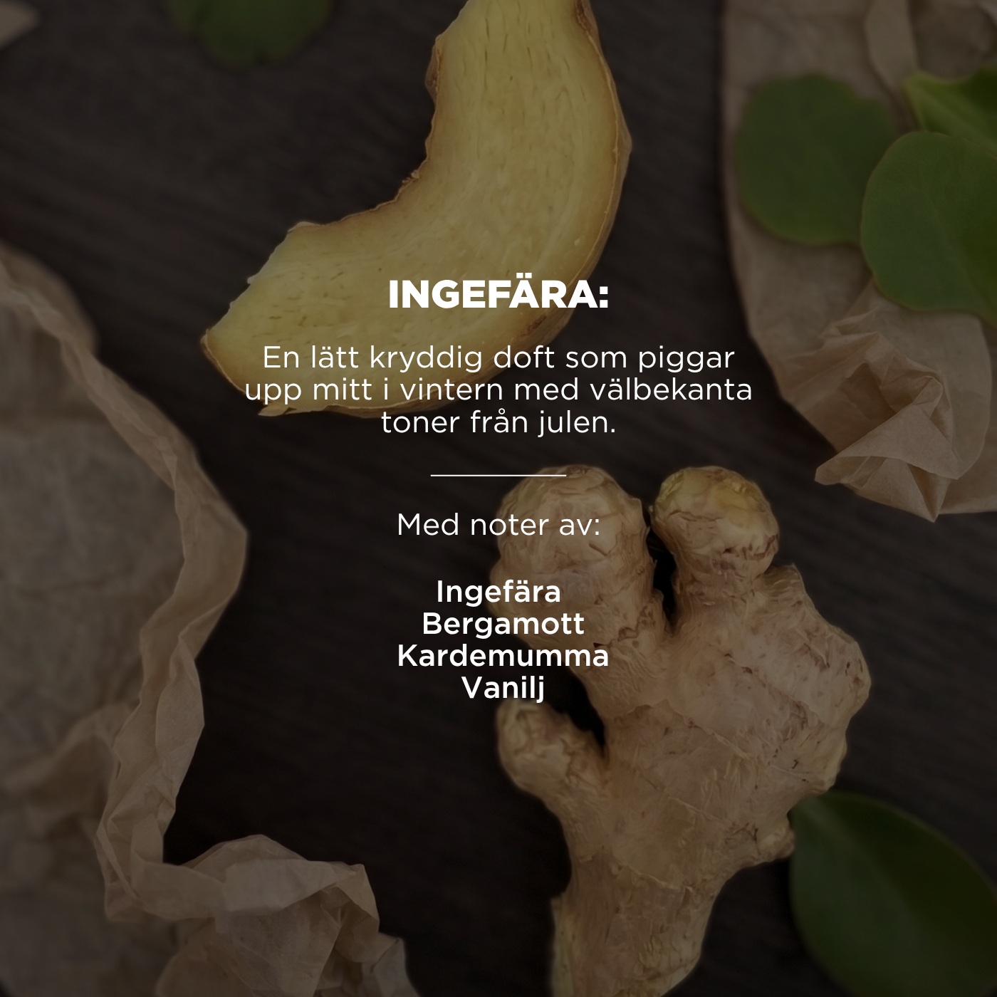 Julsåpa kit - Doft av Ingefära