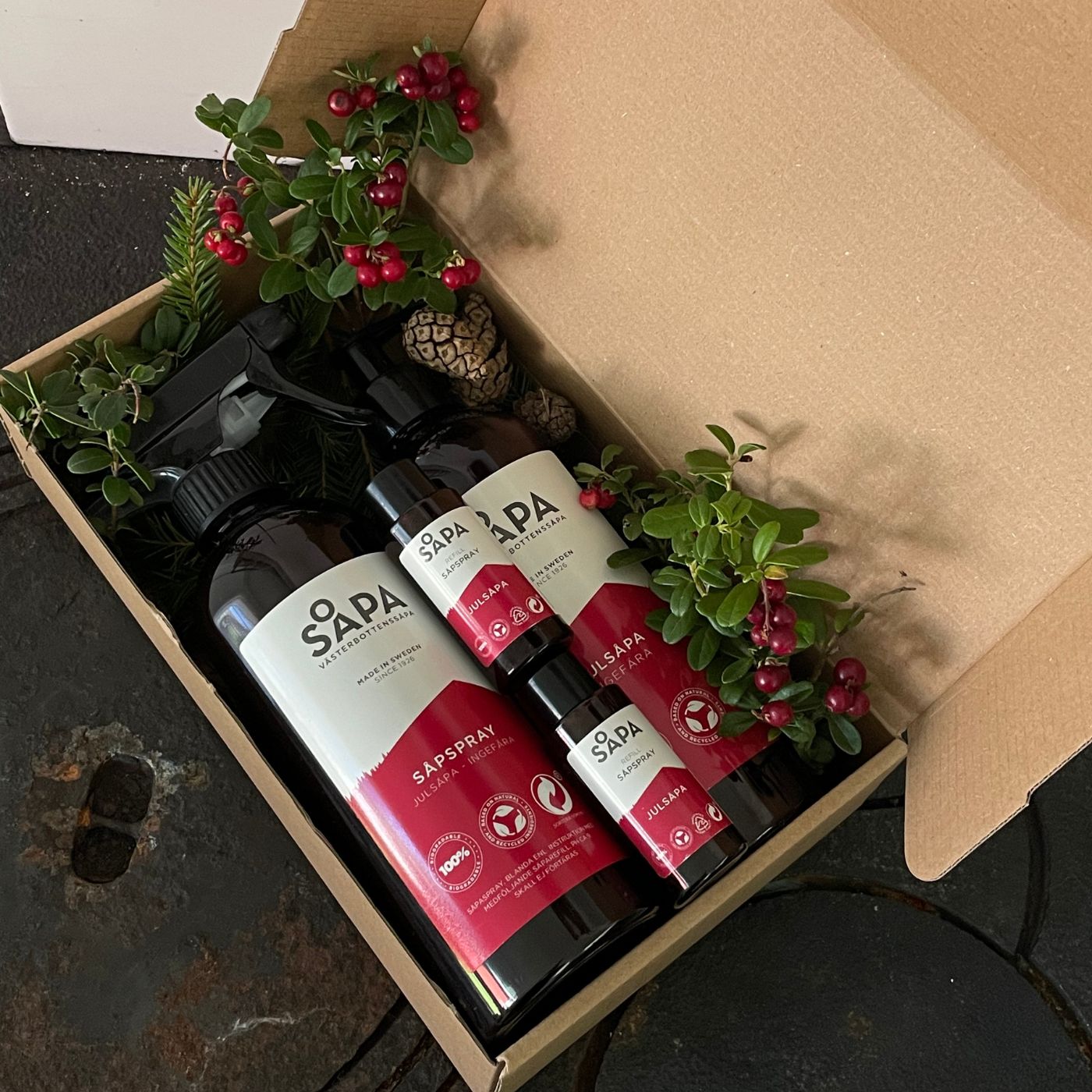 Julsåpa kit i presentförpackning med röda vinbär och kottar – perfekt julklapp med naturlig rengöring.