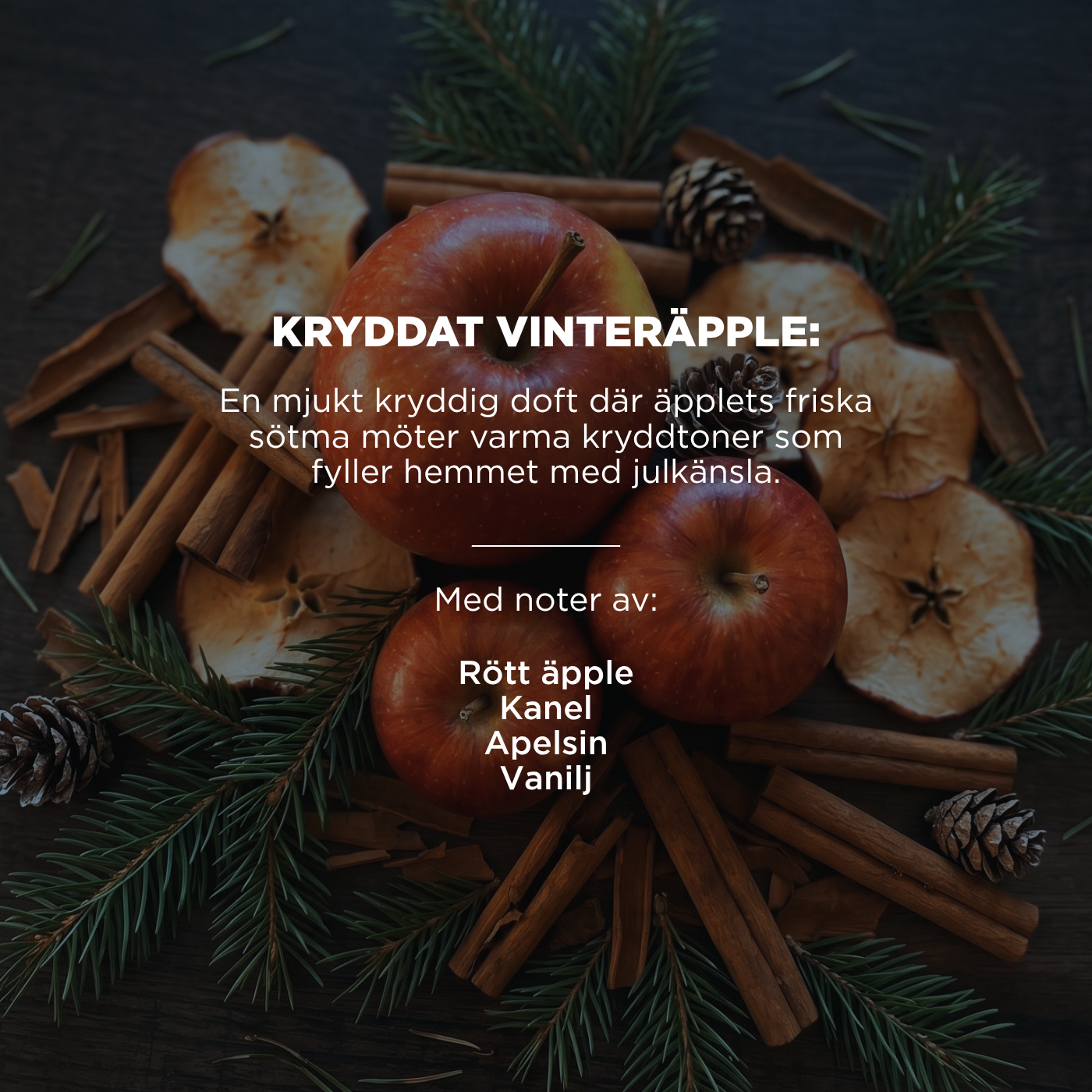 Juletid kit - Doft av Kryddat Vinteräpple