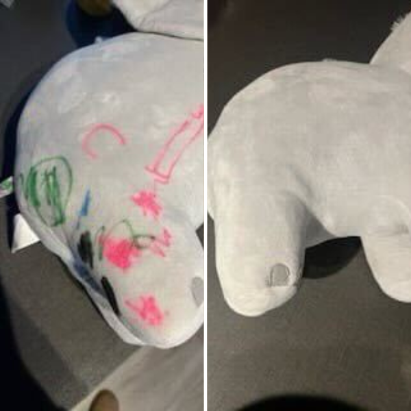 Komplett tvättpaket med fläckborttagning - Doft av Citrus