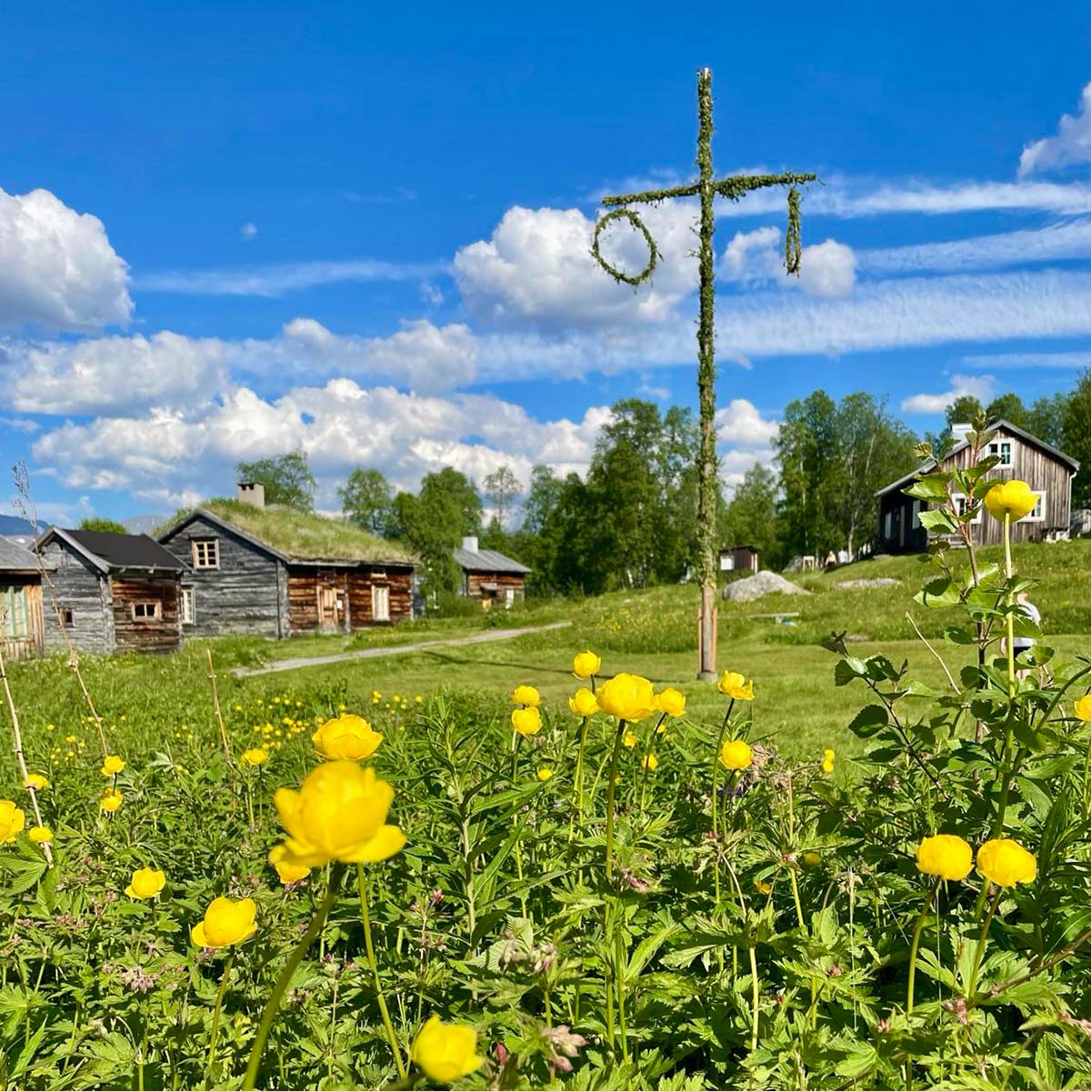 Midsommar i Sverige. 