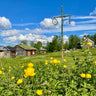 Midsommar i Sverige. 